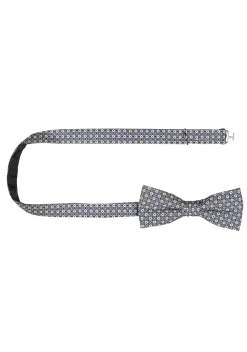 Accessoires Box Cg Paxton