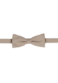 Accessoires Box Cg Paxton